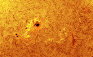 TZ-4 Telecentric System T-2 (4x focal length) Osservazione Solare H-Alpha