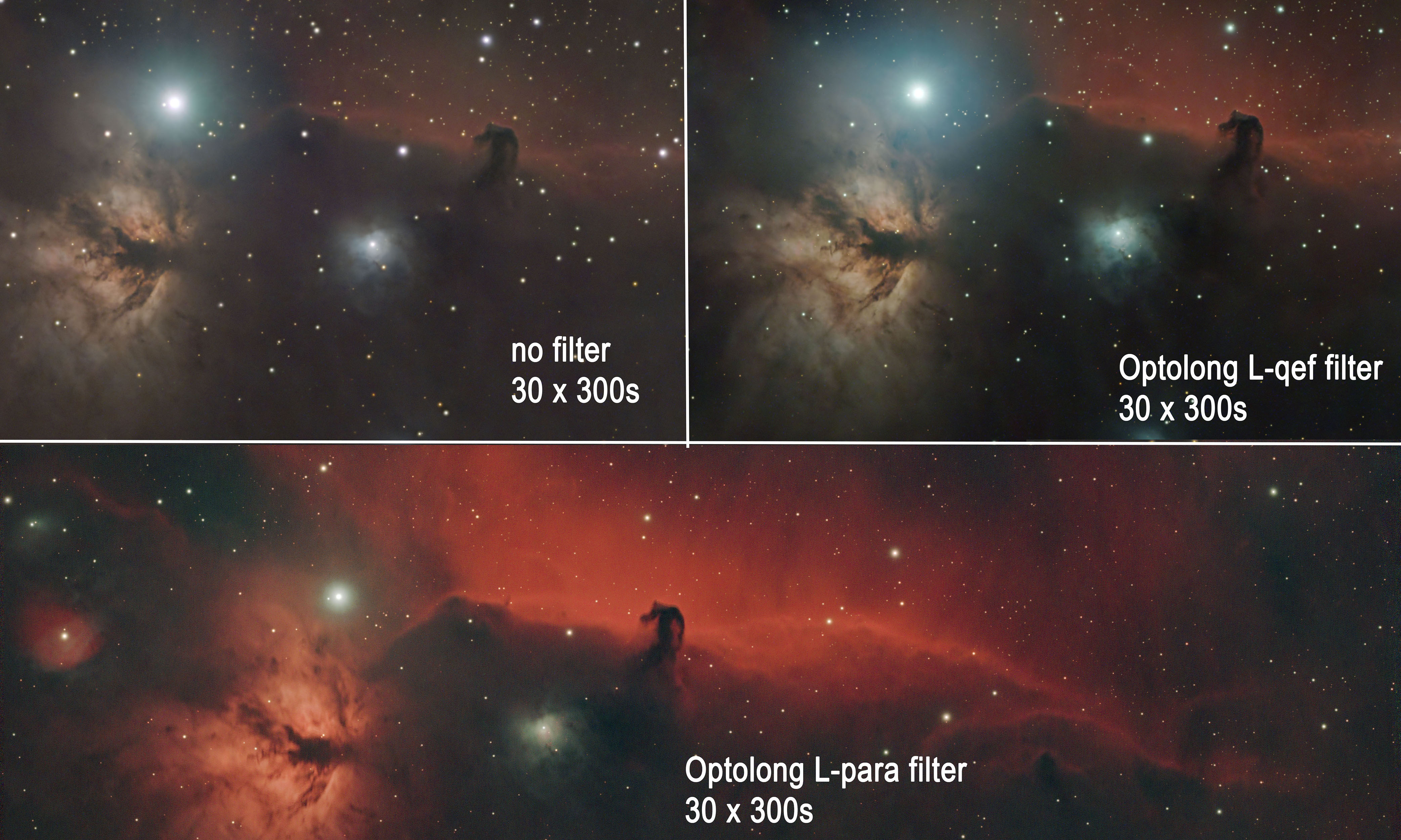 Optolong L-Para filtro dual band da 2 pollici per astrofotografia nebulare per astrofotografia e osservazione astronomica