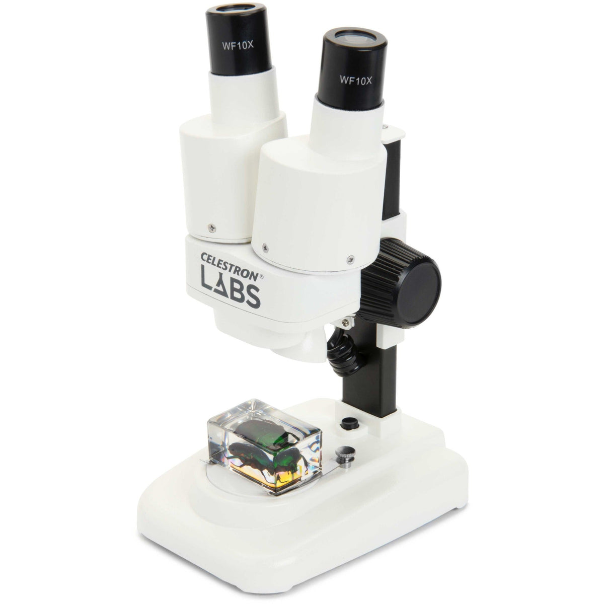 Celestron Microscopio Labs S20