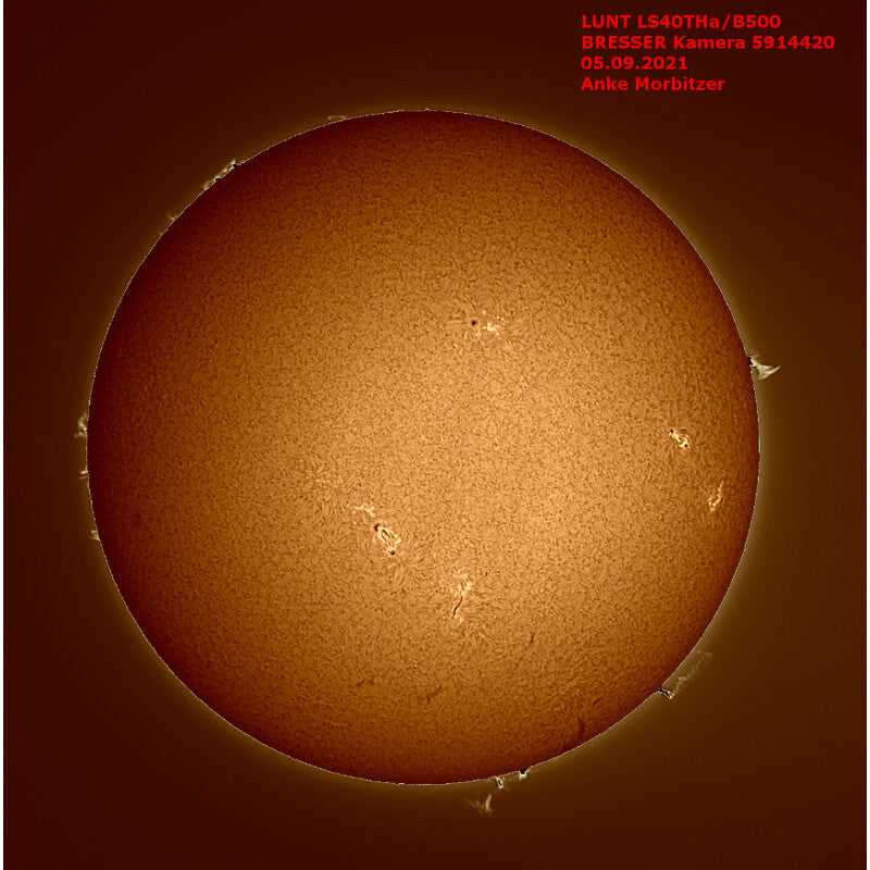 Lunt Solar Systems Telescopio Solare ST 40/400 LS40T Ha B500 telescopio solare
