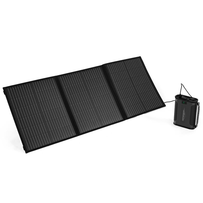 Omegon Pro Powerbank 96k Rev 2 307Wh 12/24V batterie