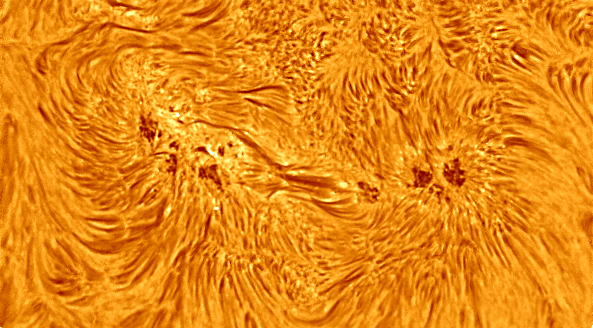 TZ-4 Telecentric System T-2 (4x focal length) Osservazione Solare H-Alpha