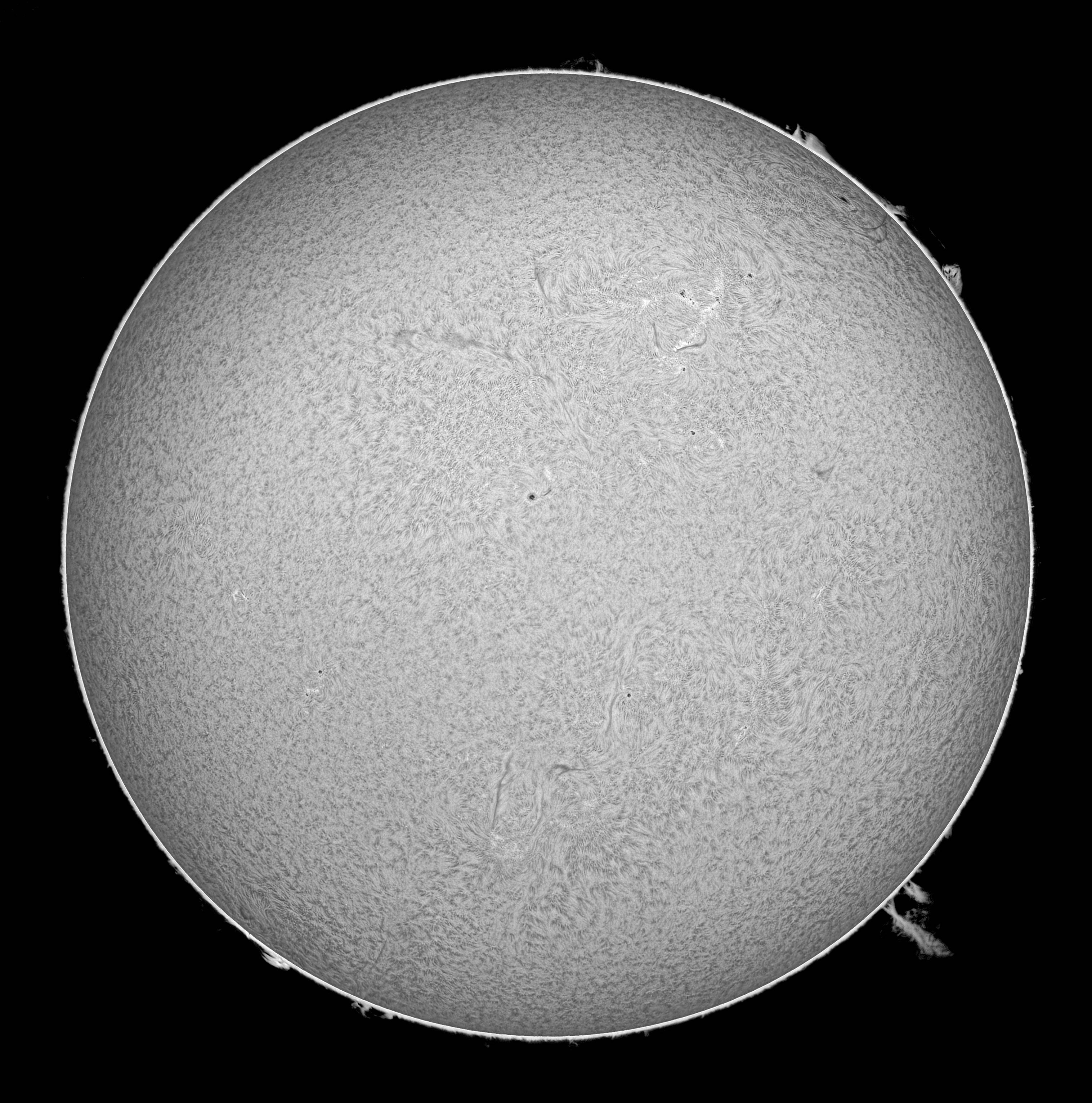 Telecompressor 2" H-alpha 0.4x Research Grade, per Solare Spectrum Osservazione Solare H-Alpha